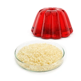 Professional Halal Animal Origin Food Gelatin with Great Price